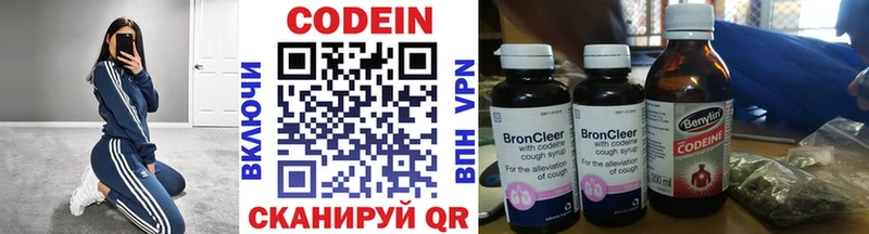 Купить закладки  Знаменск  Кодеиновый сироп Lean напиток Lean (лин) 