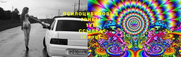 MDMA Premium VHQ Карталы