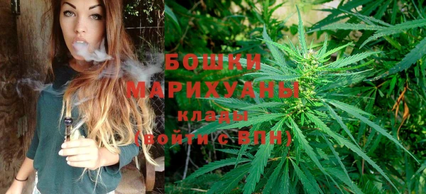 прущие крисы Карпинск