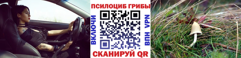 Купить где Знаменск Галлюциногенные грибы ЛСД