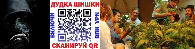 Купить где  Знаменск  Конопля Amnesia 